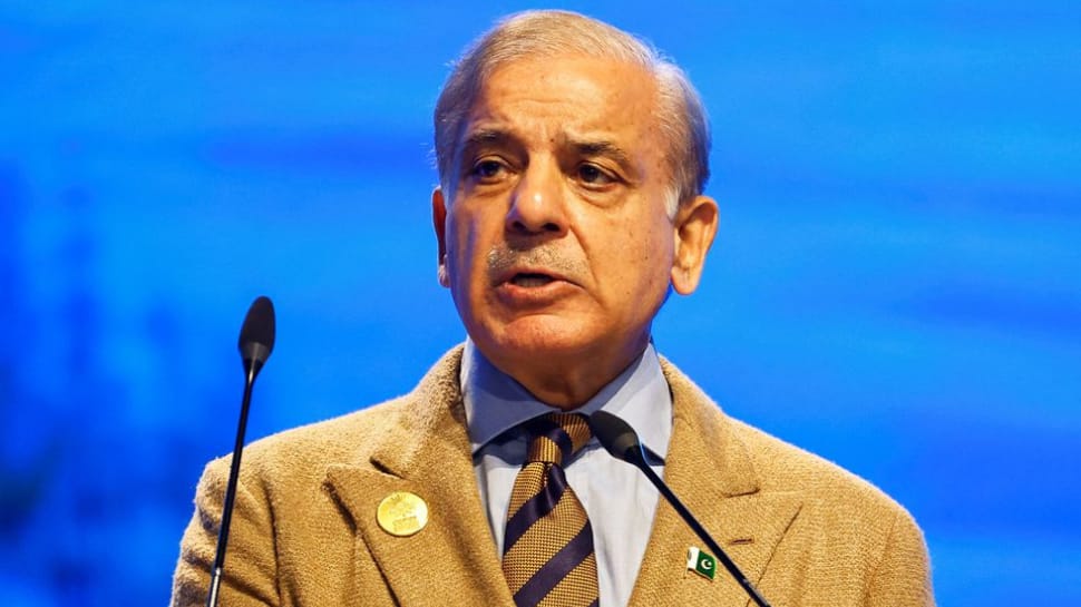 Pakistan PM Shehbaz Sharif Leaves for Earthquake-hit Turkey, Days After &#039;Insult&#039;