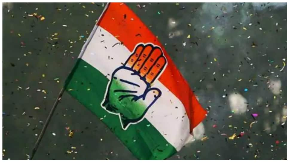 Meghalaya Elections 2023: Congress Announces 10 Women Candidates