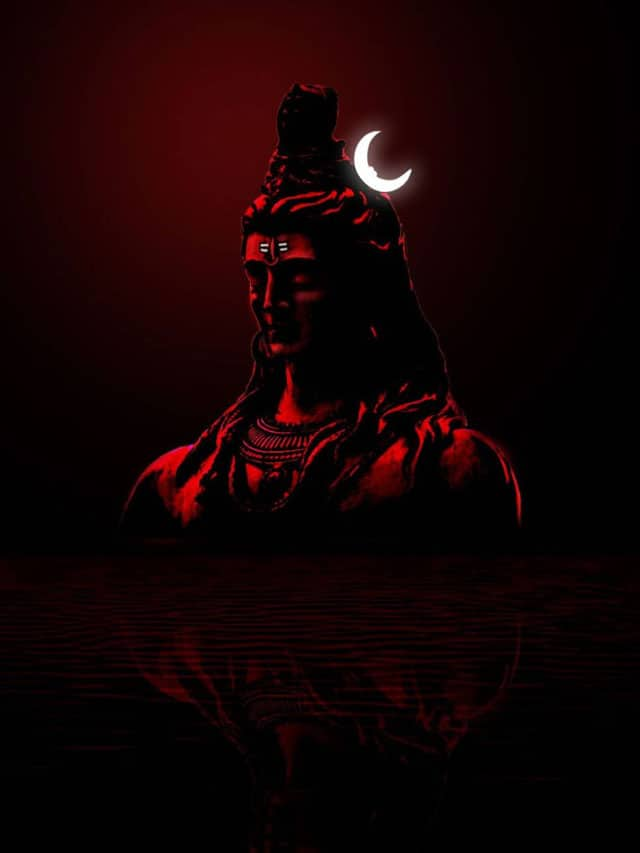 1156054 adiyogi