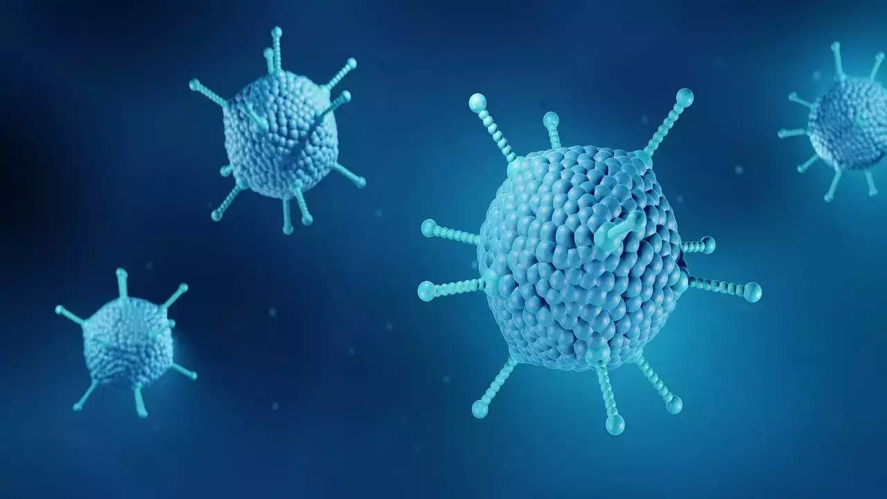 What is Adenovirus? 2 Die of Suspected Infection in West Bengal: Check