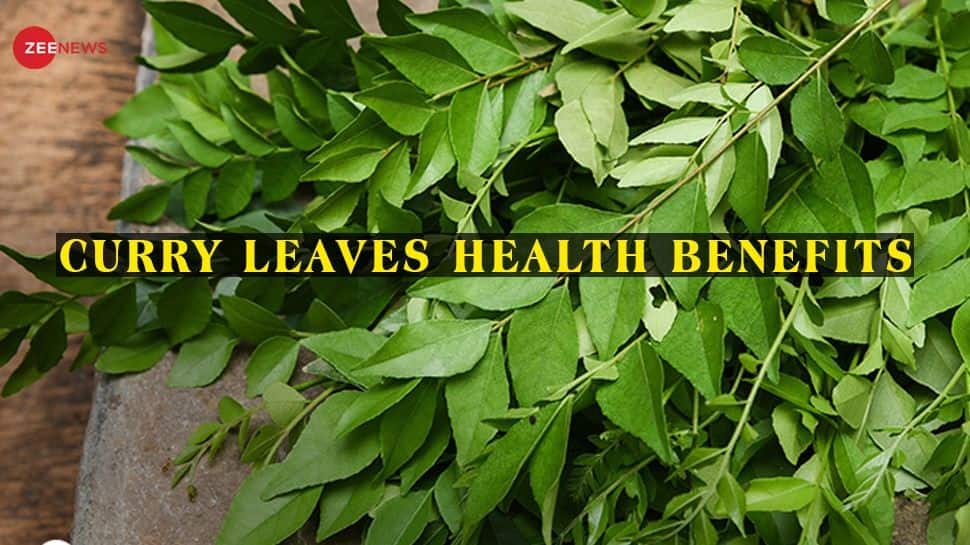 Health Benefits of Curry Leaves: 5 Reasons You Should Add 'Kadi Patta' to  Your Diet | Health News | Zee News