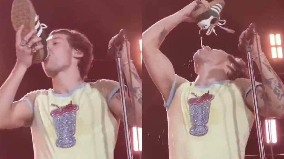 Bizzare! Harry Styles Drinks out of Shoe During Australia Concert- Watch