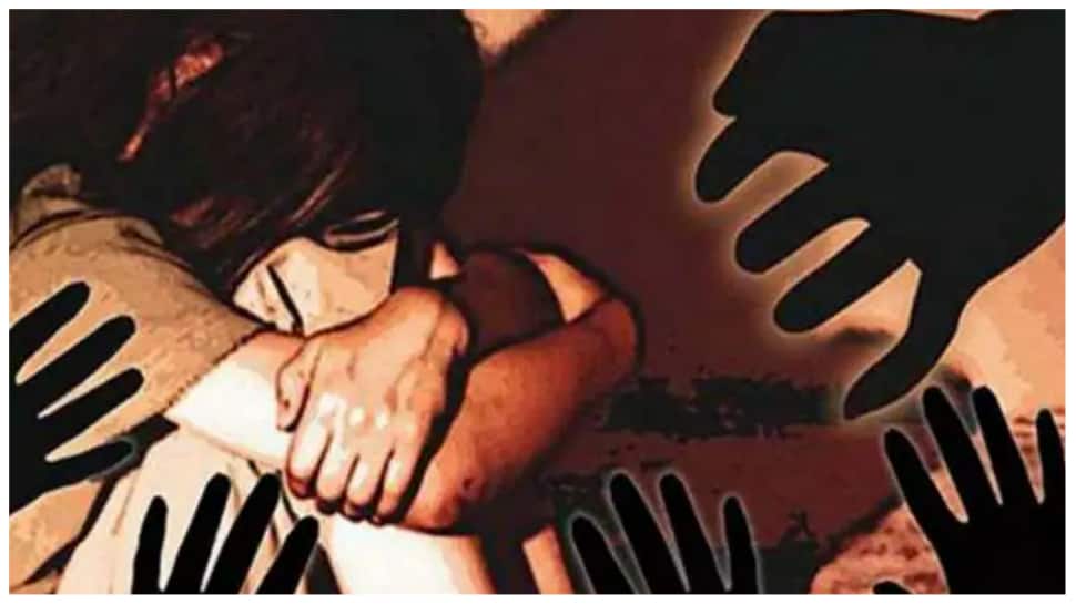 Delhi Girls Sleeping Sex Video - Teen Delhi Girl Allegedly Raped by Gurugram-Based Instagram Friend for a  Year, say Cops | India News | Zee News