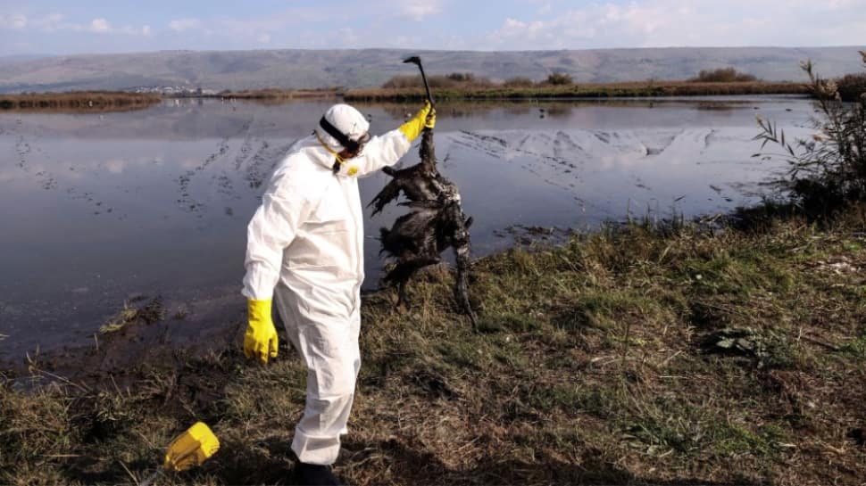 Bird Flu Outbreak: 11-Year-Old Girl Dies Due To Avian Influenza in Cambodia; WHO Calls Situation &#039;Worrying&#039;