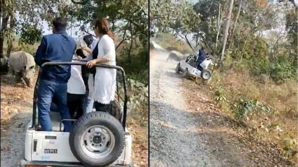 Watch: Rhinos Attack Safari Jeep At Bengal&#039;s Jaldapara National Park, 7 Tourists Injured