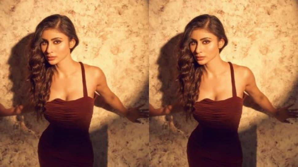 Mouni opted for subtle makeup in the pictures