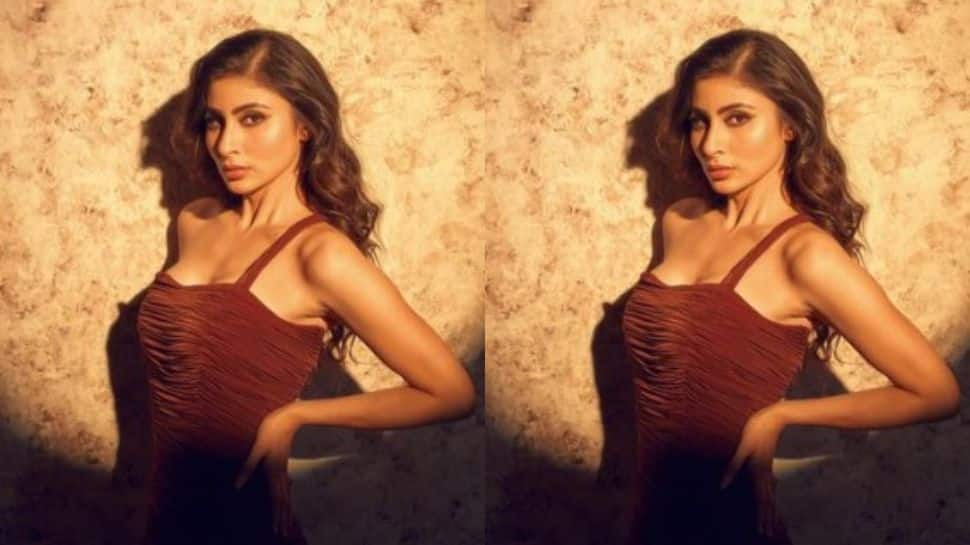 Mouni Roy Turns Up The Heat Levels In A Brown Off-Shoulder Bodycon ...