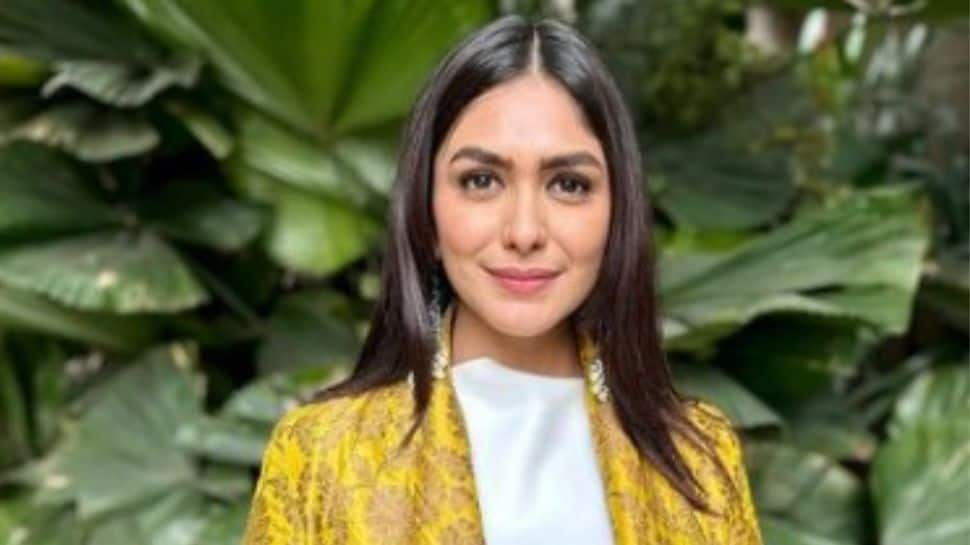 Mrunal Thakur Gives Hilarious Reply To Fan’s Marriage Proposal, Says, ‘Meri Taraf Se...’ 