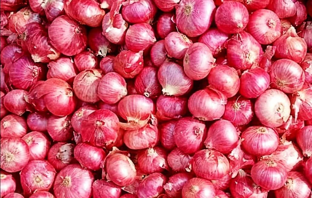 Onion Prices in Maharashtra faces heavy dip,Opposition's MPs Protests
