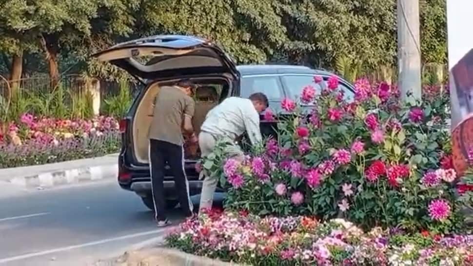 Men Riding Luxury Car Allegedly Steal Flower Pots Set Up For G20 Event in Gurugram - Watch