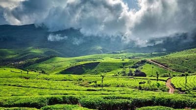 Munnar