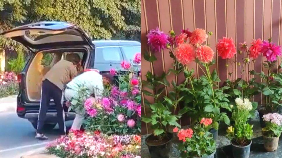 Gurugram Man Arrested For &#039;Stealing&#039; Flower Pots Set Up For G20 Summit Event