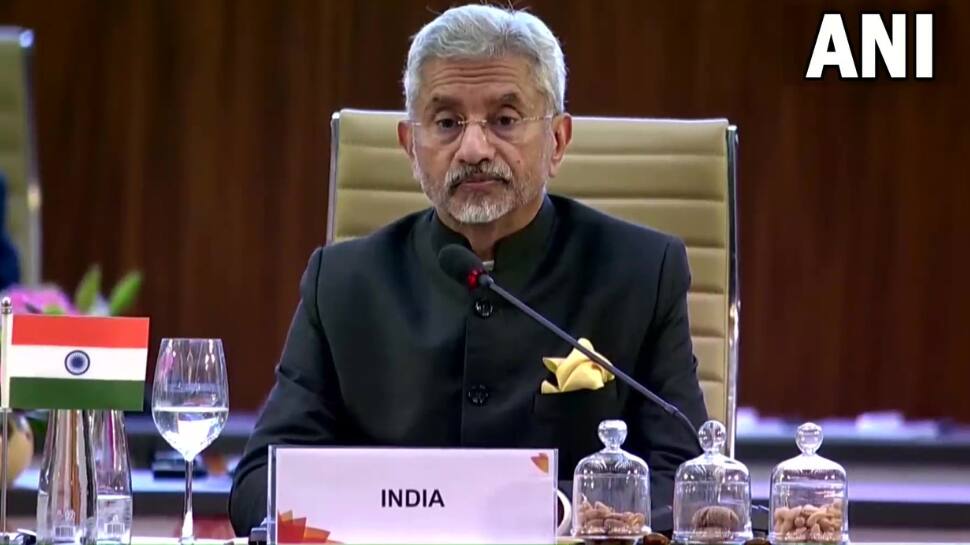 ‘Global Decision-Making Must Be Democratised’: S Jaishankar At Foreign Ministers&#039; G20 Meet