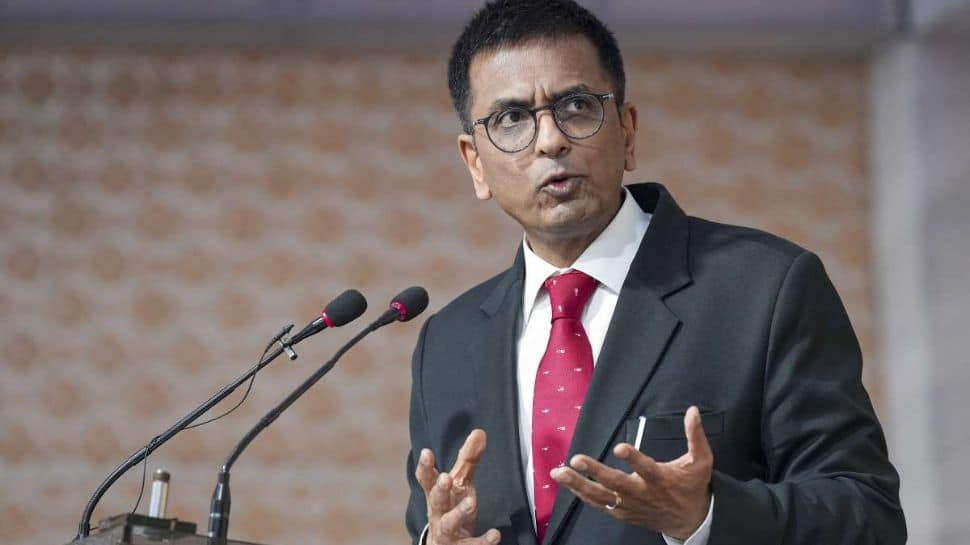 &#039;I Will Not Be Cowered By You&#039;: CJI Chandrachud Loses His Temper At Lawyer 