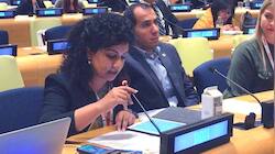 'No Religious Minority Can Freely Live In Pakistan Today': India At UNHRC
