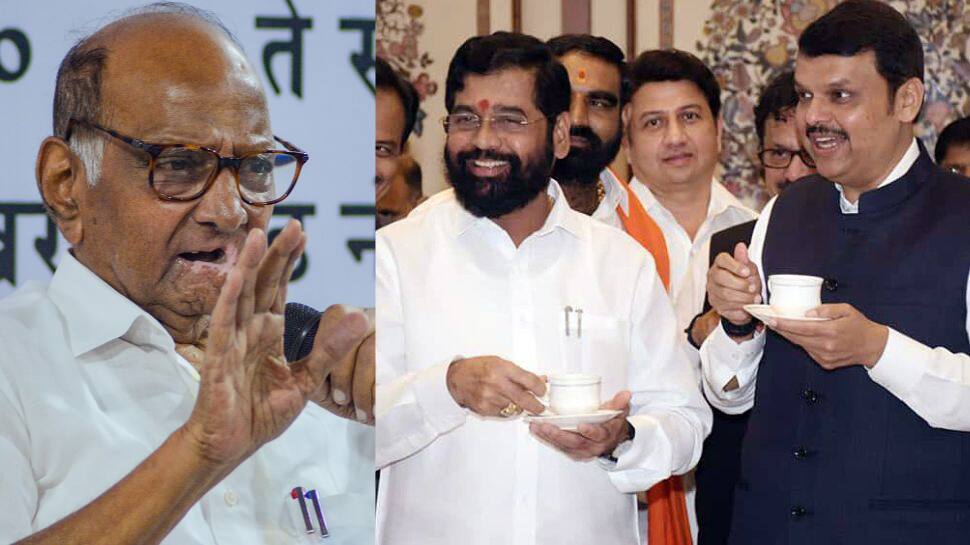 Pune Bypoll Result: Eknath Shinde Hits Back At Sharad Pawar, Says &#039;He Is Ignoring...&#039;