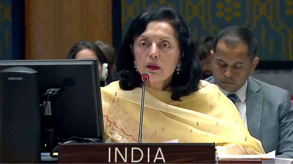 « Indigne de ne même pas répondre » : l’Inde déchire le Pakistan pour avoir ratissé le Jammu-et-Cachemire à l’UNSC |  Nouvelles du monde