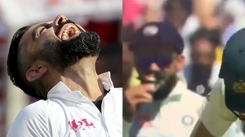 Watch: Virat Kohli Spotted Munching During Match In Ahmedabad, Video Goes Viral - Check