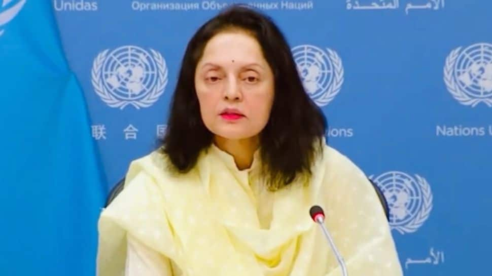 At UN, India Warns Against &#039;Categorisation Of Terrorism Based On Motivations&#039;