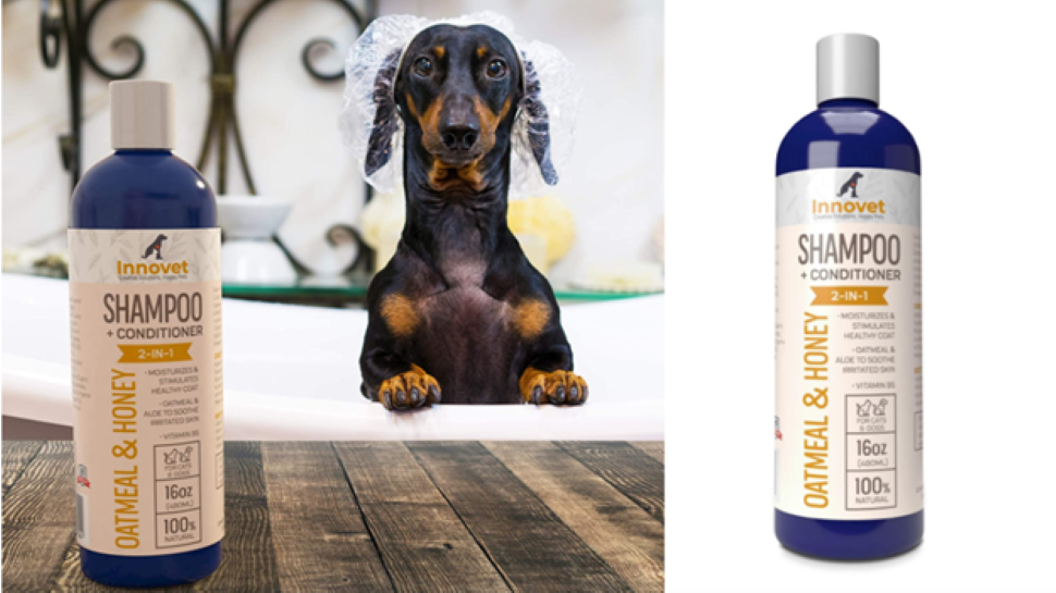 How To Choose Right Dog Shampoo For Your Dog A Comprehensive Guide