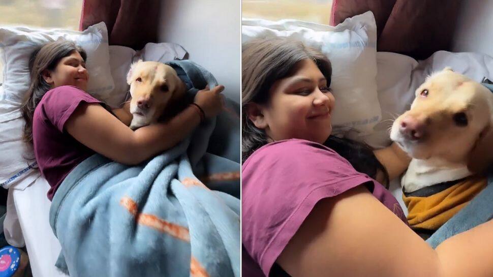 Ashwini Vaishnaw Shares Video Of Woman Travelling With Pet Dog On Train, Netizens React