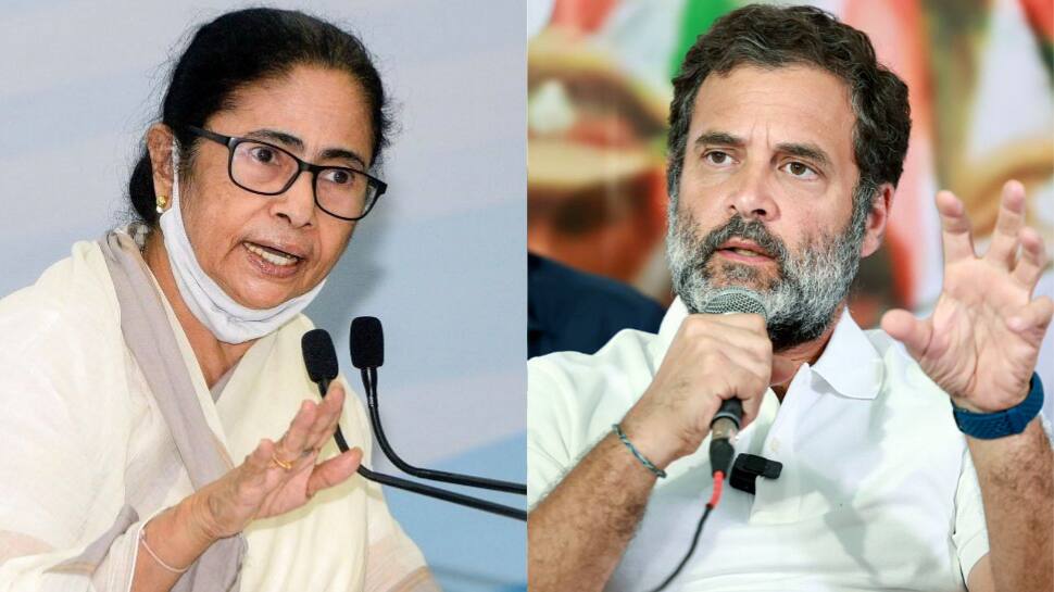 Bjp Making Rahul Gandhi Hero Because Mamata Banerjee S Dig At Congress Mp India News