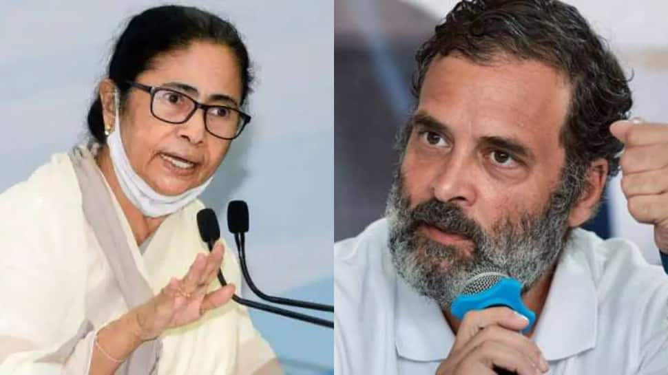 &#039;Prime Target Of BJP&#039;: Bengal CM Mamata Banerjee Slams Modi Government Over Rahul Gandhi&#039;s Disqualification