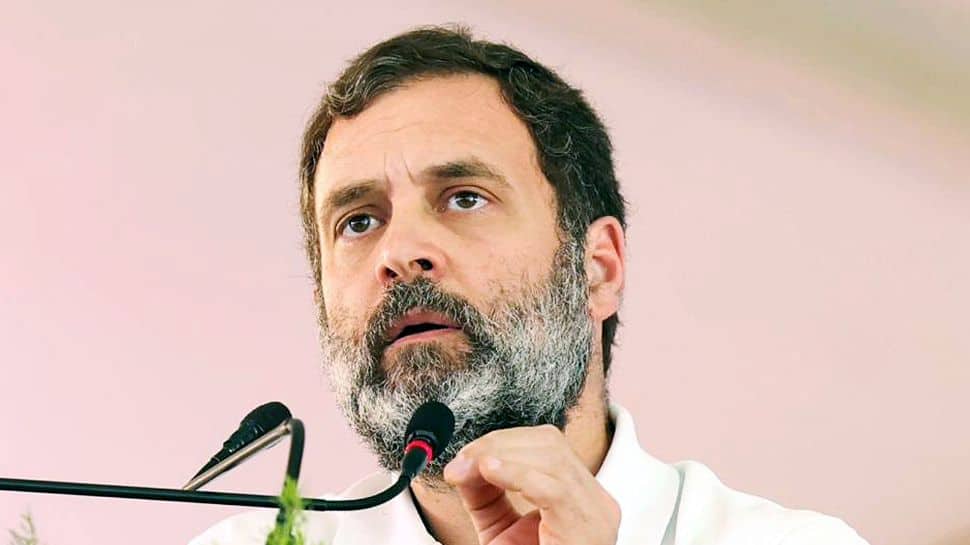 Congress To Observe &#039;Black Day&#039; In Wayanad To Protest Rahul Gandhi&#039;s Disqualification