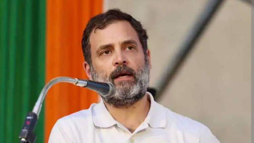 Rahul Gandhi&#039;s Lok Sabha Disqualification: Congress To Hold Day-Long Satyagraha