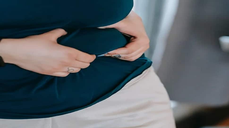 Women With Obesity May Share The Disease Risk With Daughters: Study