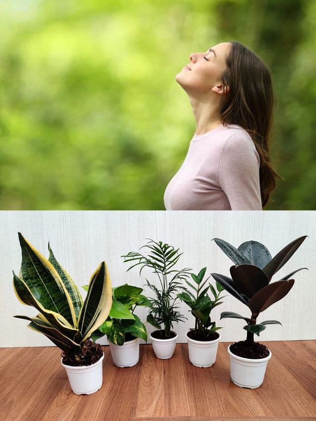 indoor artifical plants Artificial Indoor Plant Set in Planter, Realistic Faux Greenery Decor –  allseasonshousedecor.com