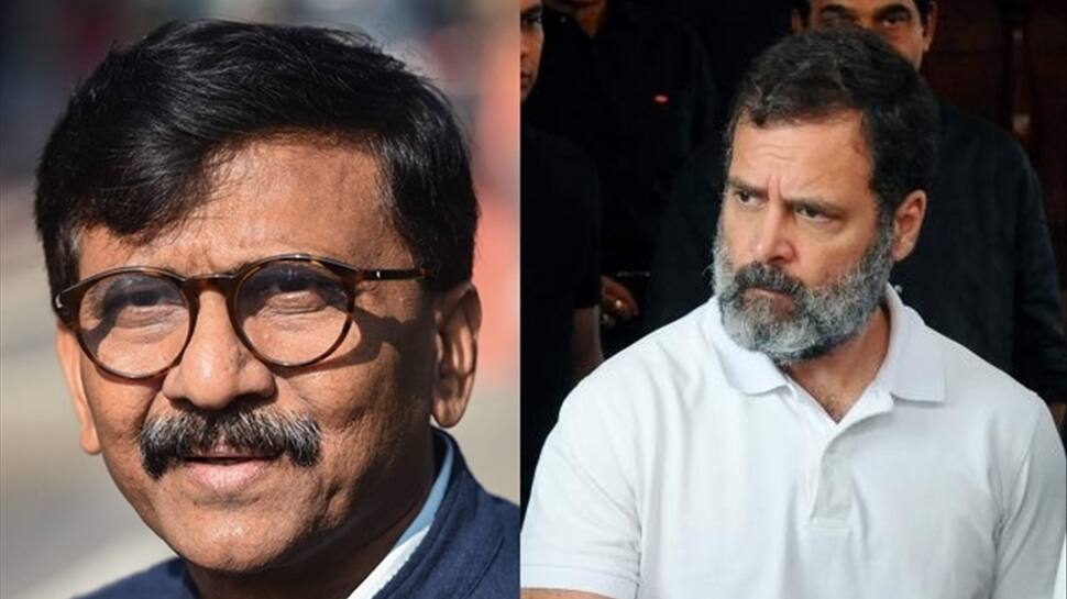 Savarkar Remark: After Meeting Sonia Gandhi, Rahul In Parliament, Sanjay Raut Says Everything Is Fine