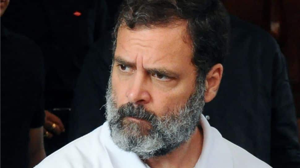 Defamation Complaint Against Rahul Gandhi For His &#039;21st Century Kauravas&#039; Remark On RSS