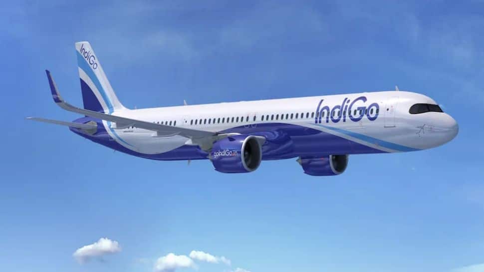 IndiGo Announces Odisha&#039;s First International Flight, To Connect Bhubaneswar-Dubai