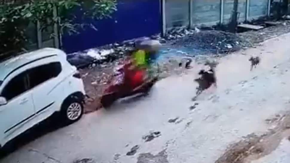 Video: Odisha Woman Rams Scooty Into Car After Being Chased By Stray Dogs
