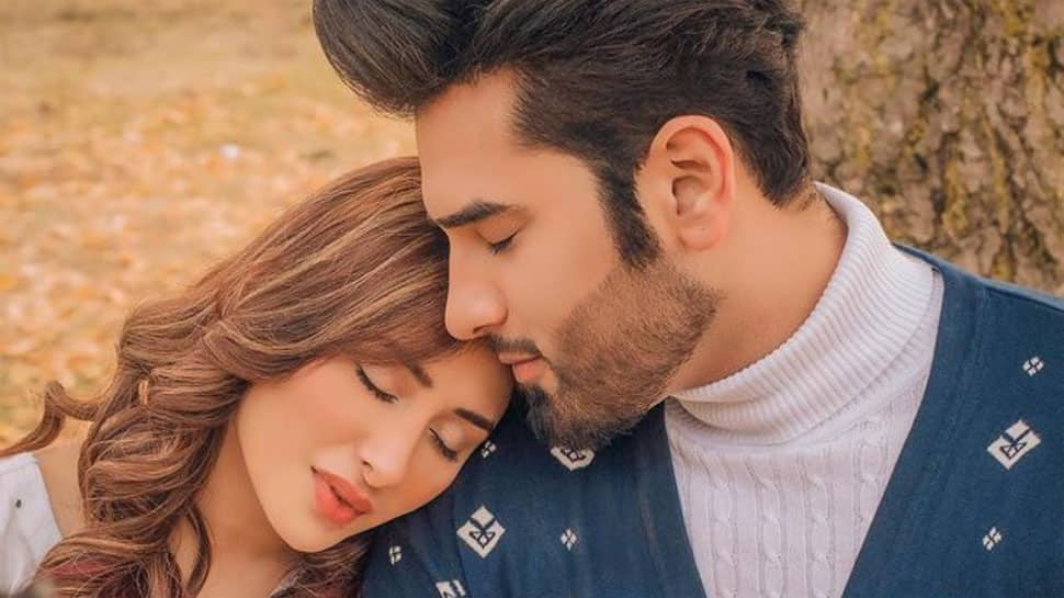 Bigg Boss 13 Couple Paras Chhabra and Mahira Sharma Call It Quits