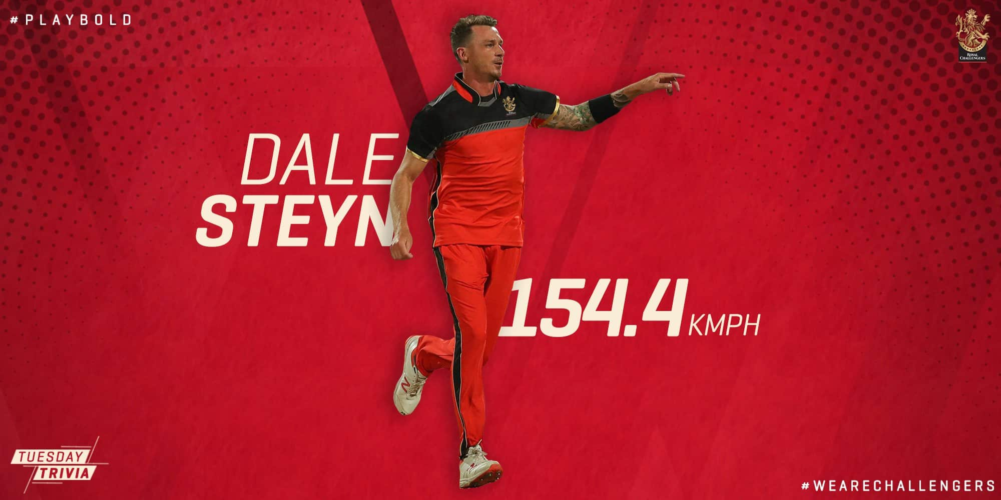 Dale Steyn