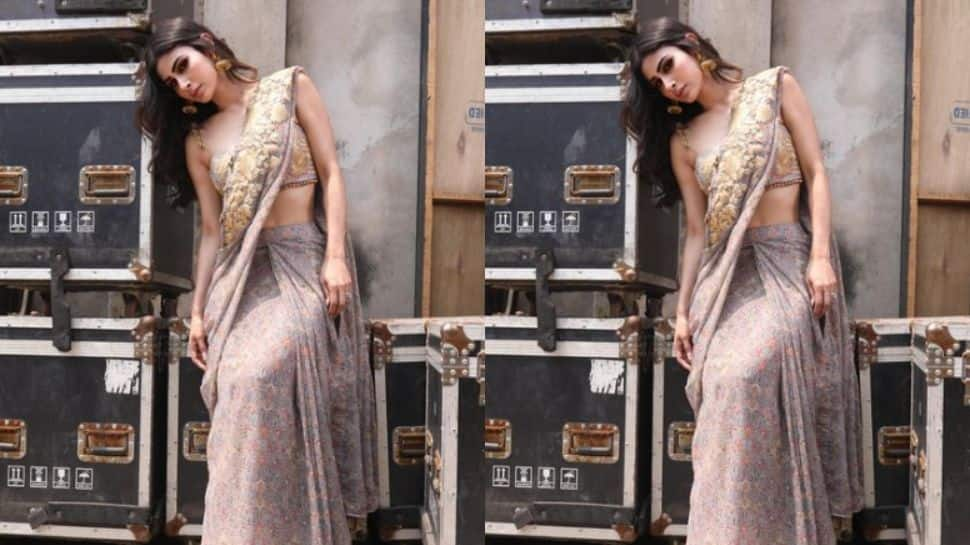 Mouni Roy stuns in grey saree with golden embroidery