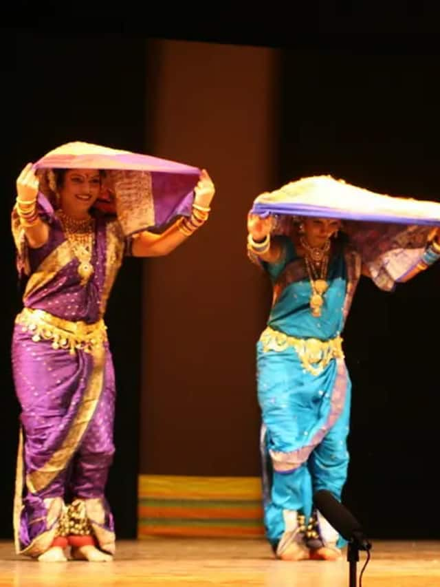 1180255 lavani