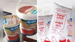 Why Is Amul Brand At The Center Of Debate In Karnataka Ahead Of Elections?