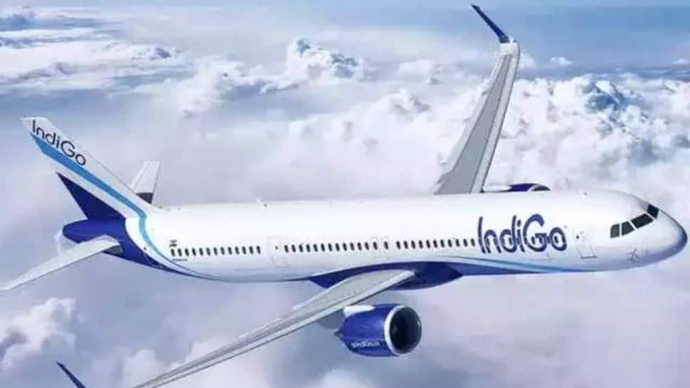 Drunk Passenger Tries To Open Emergency Door On Bengaluru-Bound IndiGo Flight, Booked
