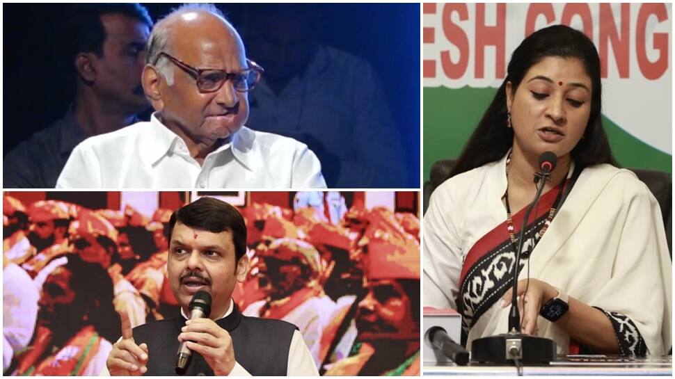 BJP Corners Congress Over Alka Lamba&#039;s &#039;Greedy&#039; Dig At Sharad Pawar