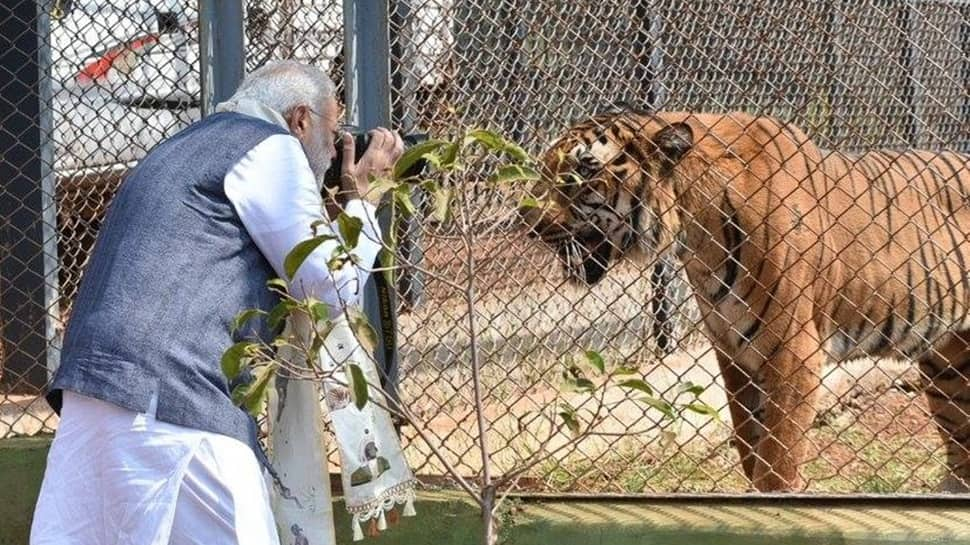 PM Modi Capturing A Tiger