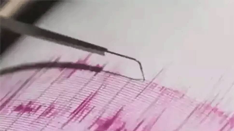 4.6 Magnitude Earthquake Jolts Andaman And Nicobar Islands