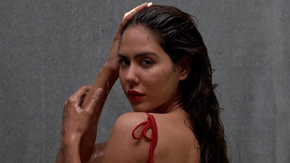Pooja Gandhi Nude Sex - Sonam Bajwa Takes Shower In Scarlet Red Backless Dress, Leaves Fans Gasping  For Breath | People News | Zee News