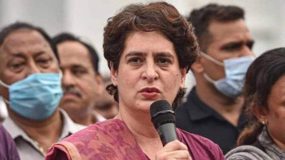 &#039;Rahul Gandhi Disqualified For Asking Question BJP Couldn&#039;t Answer&#039;: Priyanka Gandhi In Wayanad