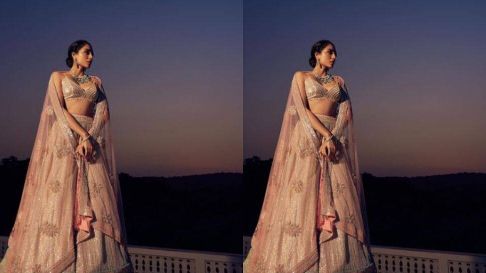 Sobhita opted for a pink netted dupatta with her outfit