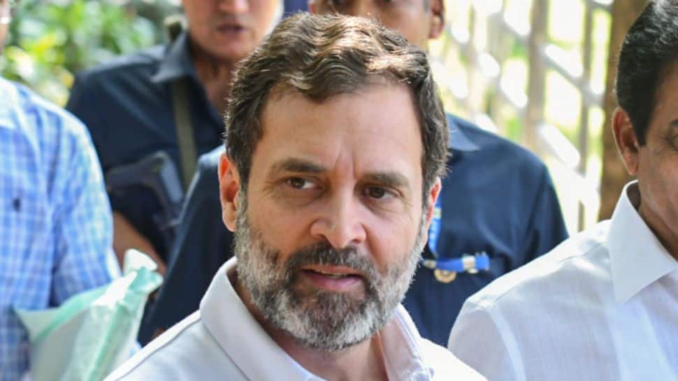 Court To Pronounce Order On Rahul Gandhi’s Plea To Stay Conviction In Defamation Case On April 20