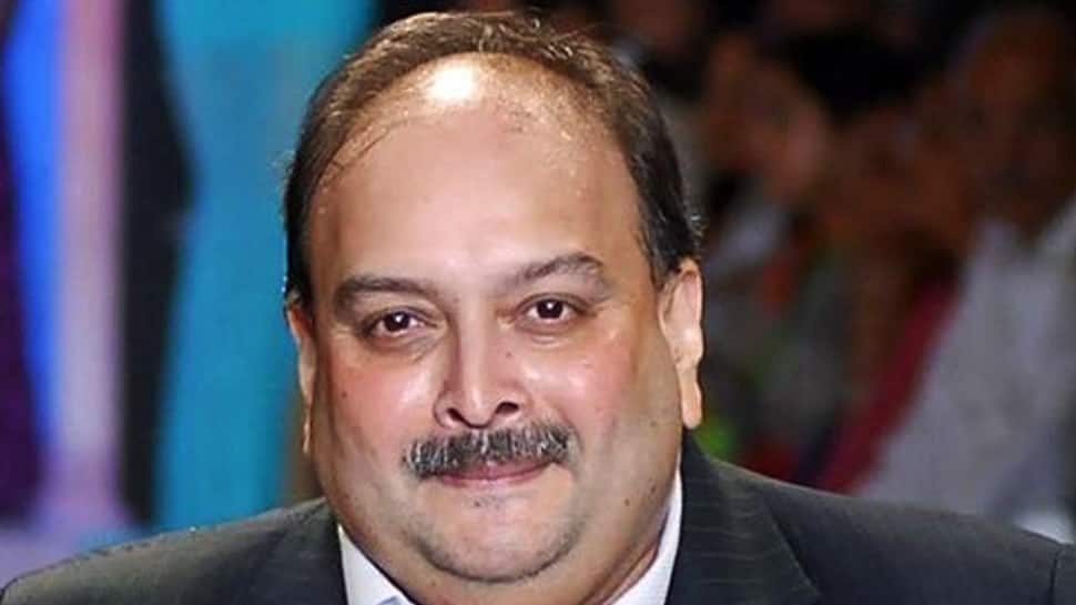 Mehul Choksi Wins Legal Battle, Can&#039;t Be Removed from Antigua Without Court Order