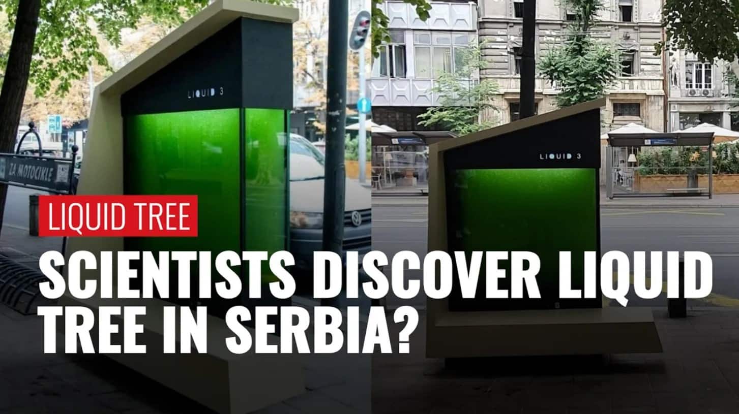 A Liquid Tree? Scientists in Serbia Make Incredible Innovation Zee News
